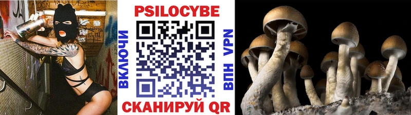 kraken маркетплейс  купить наркотик  Саяногорск  Псилоцибиновые грибы GOLDEN TEACHER 
